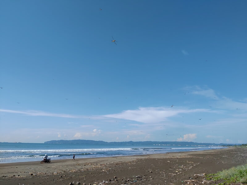 Kemiren Beach at Dusk: Unexpected Urban Visitors Arrive