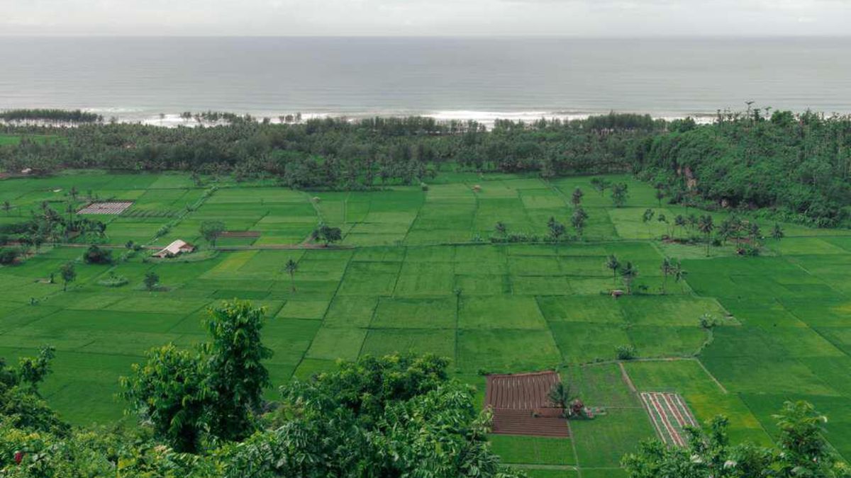 Bukit Selok Summit: A Stunning Ocean View Paradise in Cilacap